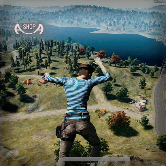 PUBG telnyashka