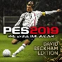 PRO EVOLUTION SOCCER 2019 David Beckham (Steam Key)