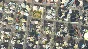 Cities: Skylines [Steam Key] RU/CIS