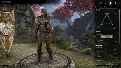 TES Online Standard Edition (Steam Gift,RU)