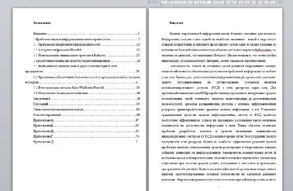 Software protecting information networks