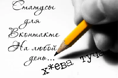 Feed FaceBook