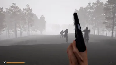 Mist Survival * RU/KZ/СНГ/TR/AR * STEAM 🚀 АВТОДОСТАВКА