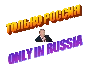FOOTBALL MANAGER 2019 (STEAM РОССИЯ)