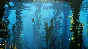 Last Tide * STEAM Россия 🚀 АВТОДОСТАВКА 💳 0%