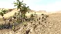 Theatre of War 2: Africa 1943 🔑STEAM KEY ✔️GLOBAL