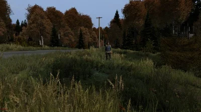 DayZ * RU/KZ/СНГ/TR/AR * STEAM 🚀 АВТОДОСТАВКА