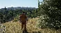 Scum (Steam Russia)