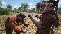 SCUM (Steam | RU+Gift)