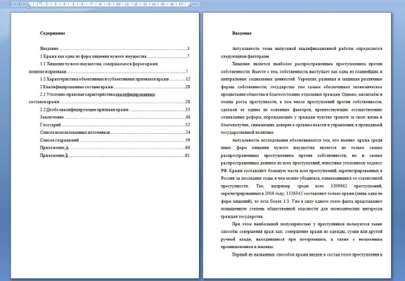 Кража и ее уголовно-правовая характеристика