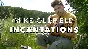 Mike Oldfield - Incantations - Part Four (Excerpt)