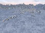 XIII Century Gold Edition (Steam key)