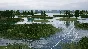 Fishing Sim World (Steam key)