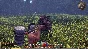 Legends of Aethereus [Steam Key/RU+CIS]