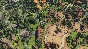 Zoo Tycoon Ultimate Animal Collection (Steam)