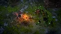 Pathfinder Kingmaker Special Edition (steam key)