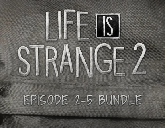 Life is Strange 2 Episodes 2-5 bundle (steam)