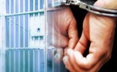 The dominant criminal motive