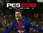 PRO EVOLUTION SOCCER 2019 (steam key) -- RU