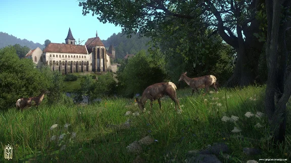 Kingdom Come: Deliverance (steam cd-key RU,CIS)