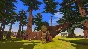 CardLife: Cardboard Survival * RU/KZ/CIS/TR/AR * STEAM