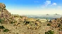 Tropico 4 Junta Military (Steam key) DLC