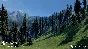 Medieval Engineers (STEAM GIFT / RU/CIS)