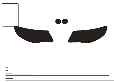 Avtovykroyka protect headlights Volkswagen Touareg 2008