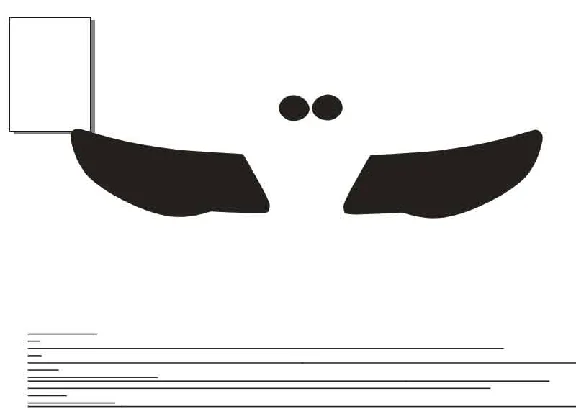 Avtovykroyka protect headlights Volkswagen Touareg 2008