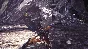 MONSTER HUNTER: WORLD Digital Deluxe (Steam key) @ RU