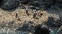 Pillars of Eternity - Definitive Edition (Steam) @ RU