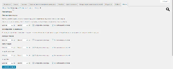 WP Woocommerce product search с русским переводом