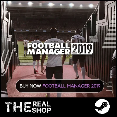FOOTBALL MANAGER 2019 | ОФФЛАЙН АКТИВАЦИЯ | STEAM ✅