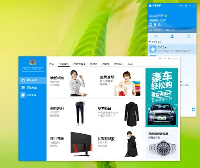 English translation Ali WangWang (9.12.10C)