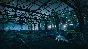 The Park (steam cd-key global)