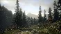 Alan Wake Collector’s Edition (Steam) @ Region free