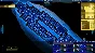 Starship Corporation: Cruise Ships @ Region free