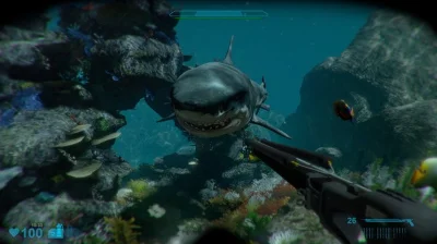 Shark Attack Deathmatch 2 (Steam Key/Region Free)