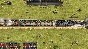 Bounty Train (steam cd-key global)