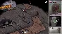 Survivalist (Steam key / РФ+Весь Мир)