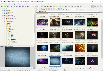 FastStone Image Viewer (License key) + bonus
