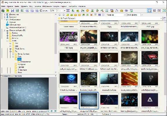 FastStone Image Viewer (License key) + bonus