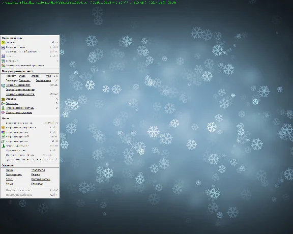 FastStone Image Viewer (License key) + bonus