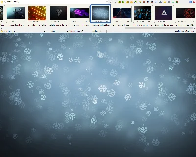FastStone Image Viewer (License key) + bonus