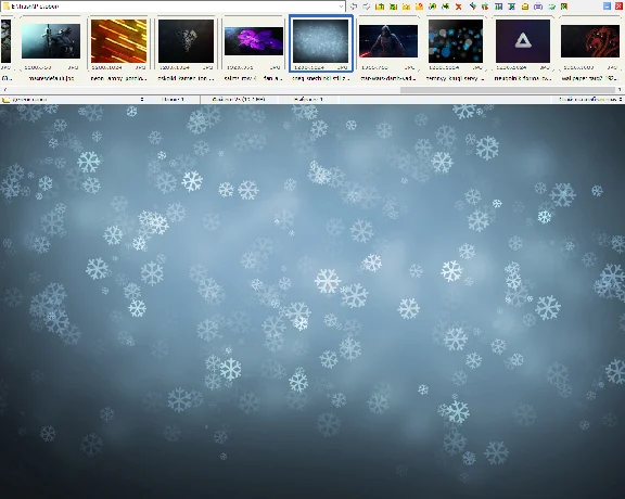 FastStone Image Viewer (License key) + bonus