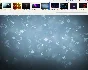 FastStone Image Viewer (License key) + bonus
