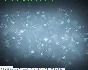 FastStone Image Viewer (License key) + bonus