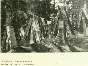 Энциклопедия русского искусства и архитектуры (6 томов)