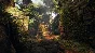 TOXIKK - Full Game 💎 STEAM GIFT RU + CIS