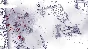12 is Better Than 6 >>> STEAM KEY | GLOBAL
